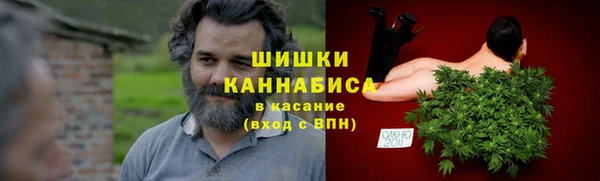 крисы Елабуга