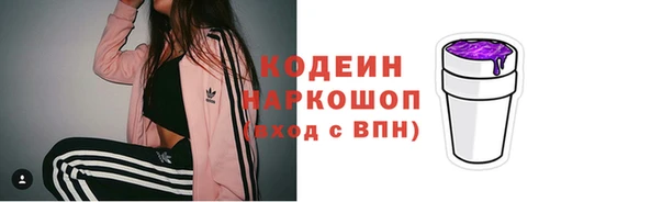 твердый Елизово