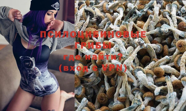 твердый Елизово