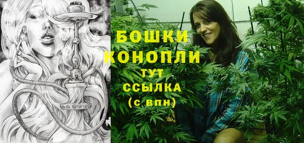 крисы Елабуга