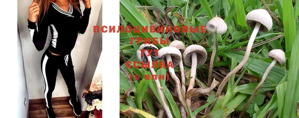 кокаин колумбия Ельня