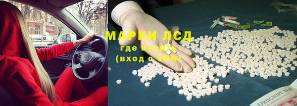 крисы Елабуга