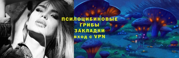 твердый Елизово